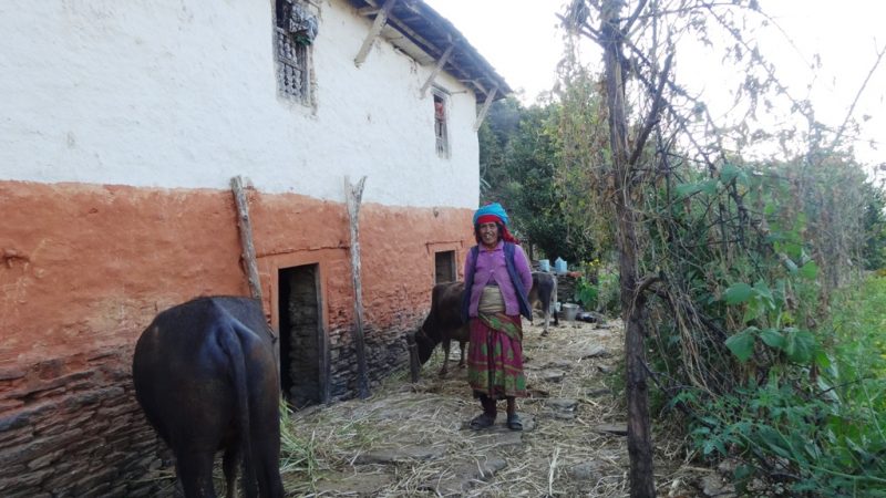 पहुँचवालालाई पटक पटक अनुदान