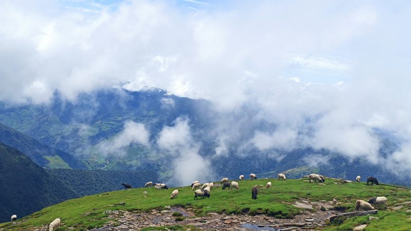 पाटनमा बेपत्ता सातै जना भेटिए सकुशल