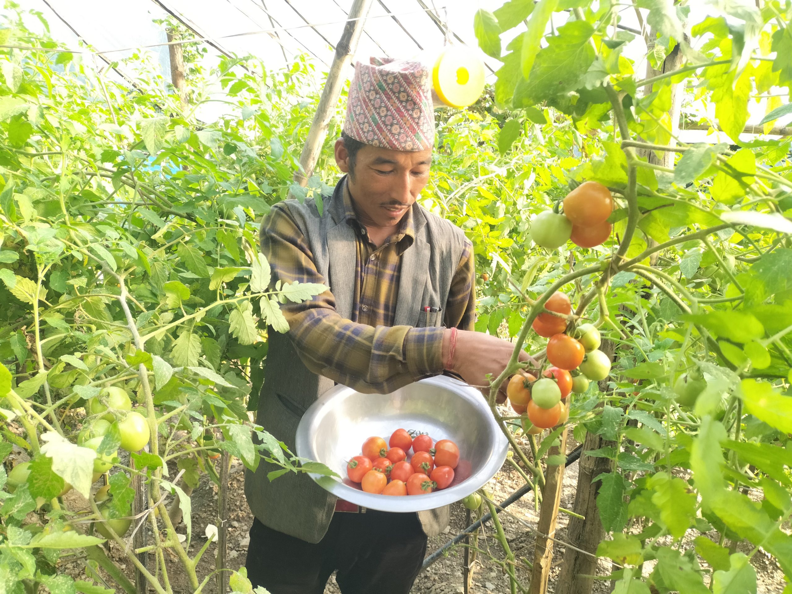 कृषि ब्यवसायबाट लोभलाग्दो आम्दानी