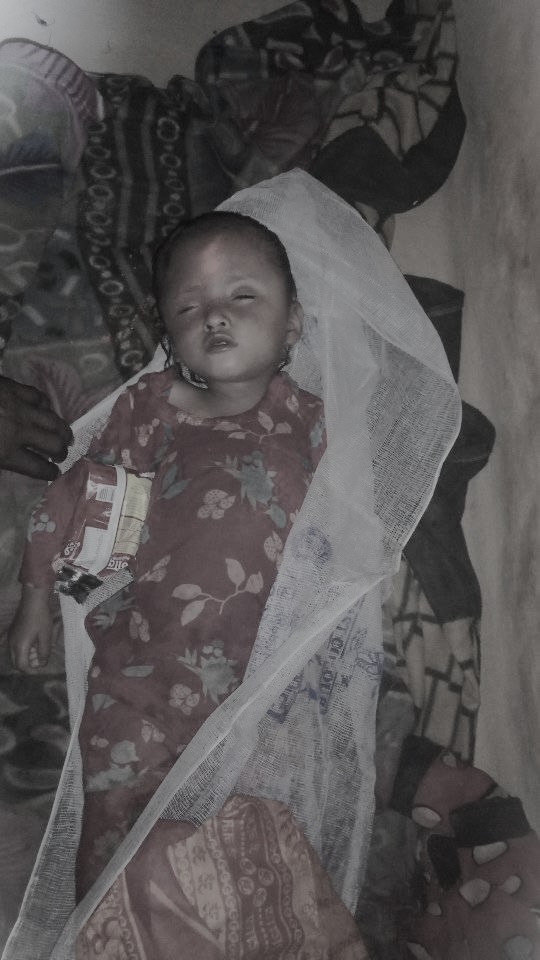 अरिङ्गालले टोकेर दुई बालिकाको मृत्यु